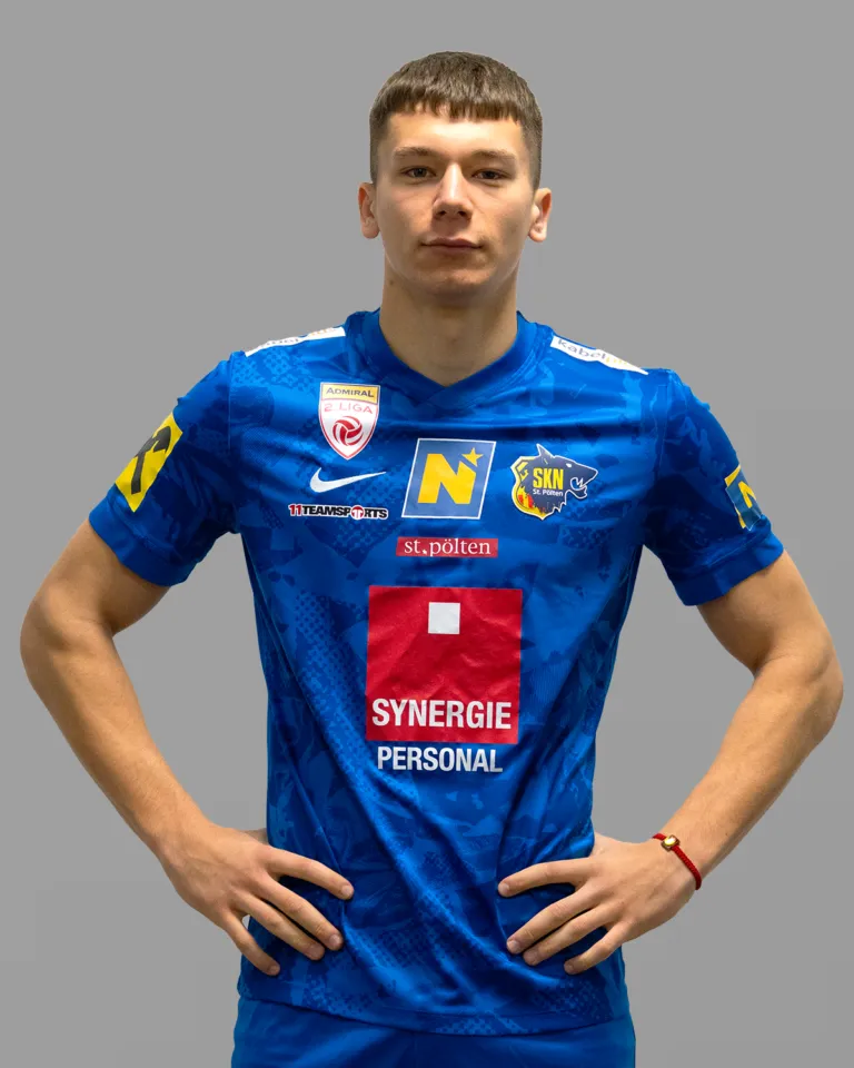 Perovic Website