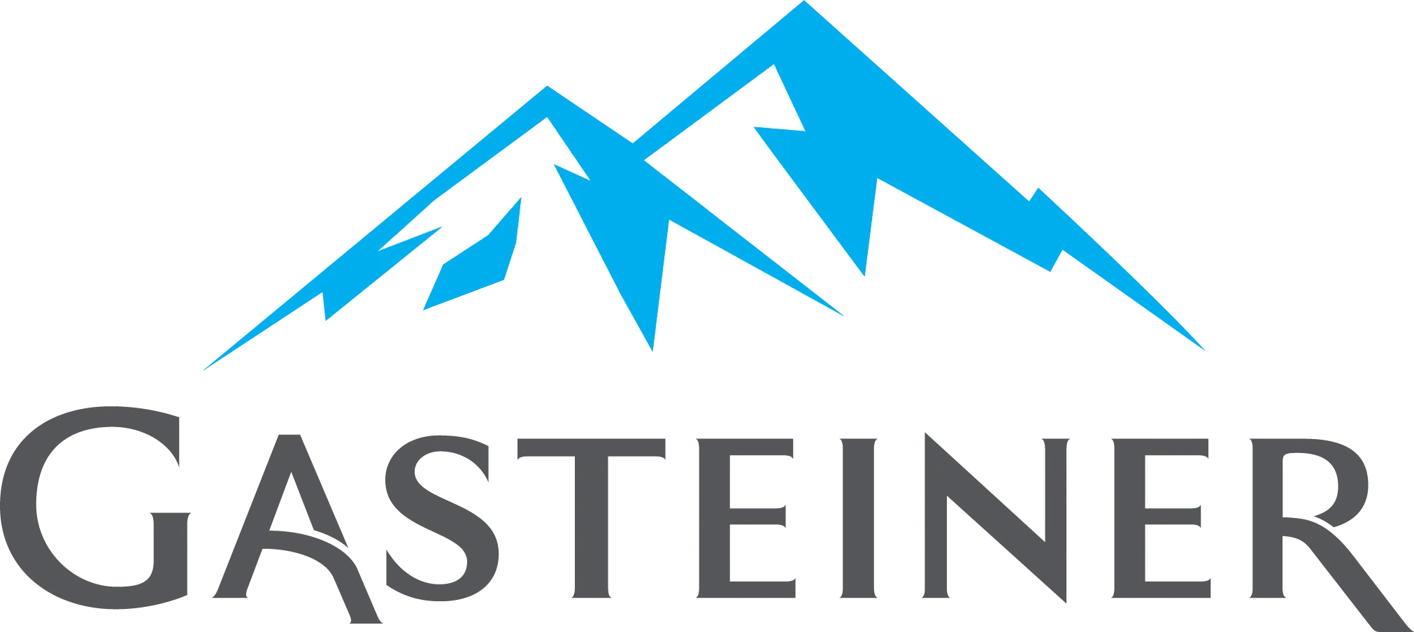 SPIT2001GasteinerLogo