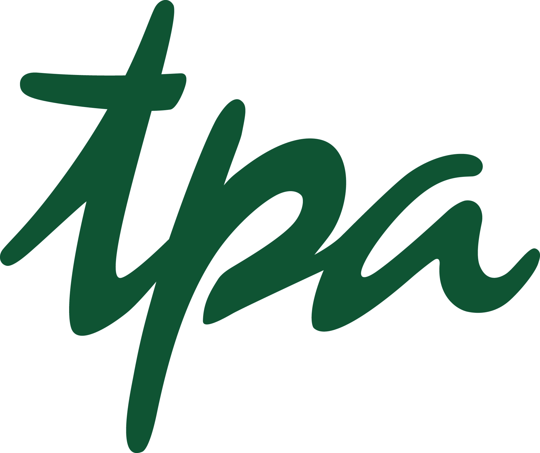 TPA Logo Solo 4c gross